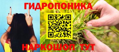прущие грибы Балахна